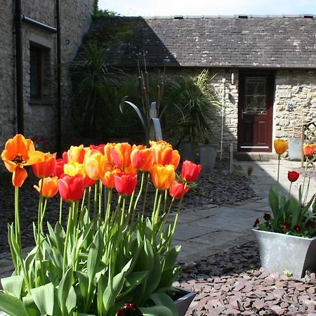 Birslack Grange Kendal Exteriér fotografie